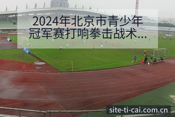 2024年北京市青少年冠军赛打响拳击战术变化与风险点赛程 - 体育彩票