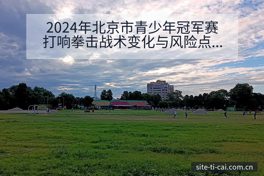 2024年北京市青少年冠军赛打响拳击战术变化与风险点赛程 - 体育彩票