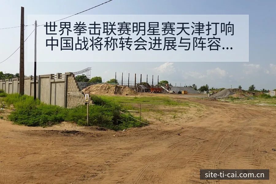 世界拳击联赛明星赛天津打响中国战将称转会进展与阵容影响深 - 体育彩票